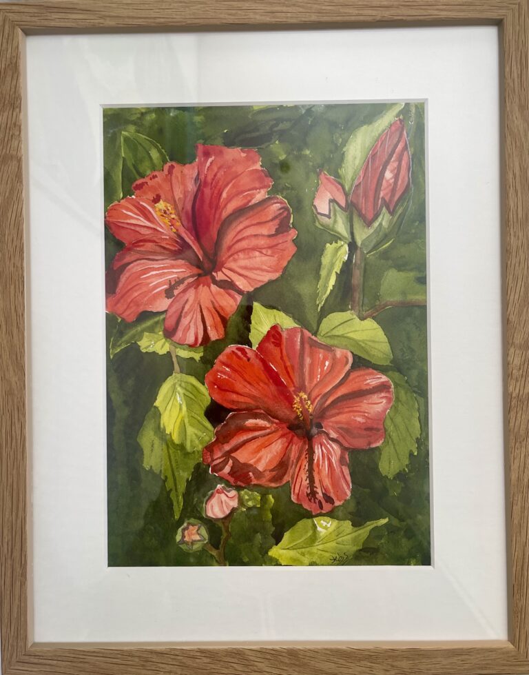 Red Hibiscus